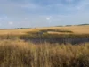 Foto vom Album: 280626 Dira Feld