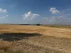 Foto vom Album: 280626 Dira Feld