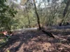 Foto vom Album: 280626 Garsebach Waldbrand