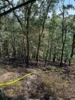 Foto vom Album: 280626 Garsebach Waldbrand