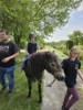 Foto vom Album: Kinder und Gartenfest 2025 im KGV „Einigkeit Greifswald e.V.“