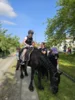Foto vom Album: Kinder und Gartenfest 2025 im KGV „Einigkeit Greifswald e.V.“