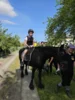Foto vom Album: Kinder und Gartenfest 2025 im KGV „Einigkeit Greifswald e.V.“