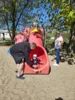Foto vom Album: Frühschoppen zum 1. Mai 2026 im KGV „Einigkeit Greifswald e.V.“