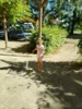 Foto vom Album: Sommerfest 2026