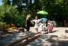 Foto vom Album: Sommerfest 2026