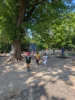 Foto vom Album: Jede Runde zählt