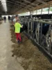 Foto vom Album: Getreidetour Klasse 4a und 4b