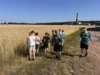Foto vom Album: Getreidetour Klasse 4a und 4b