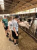 Foto vom Album: Getreidetour Klasse 4a und 4b