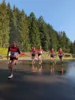 Foto vom Album: Hindernis-Cross Scheibe Alsbach