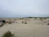 Foto vom Album: Beachvolleyball Borkum 2026