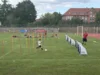 Foto vom Album: 16. Fußballcamp des ESV II