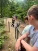 Tag 3 -Affenwald