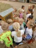 Foto vom Album: SUMM-Woche