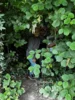 Foto vom Album: SUMM-Woche