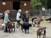 Foto vom Album: SUMM-Woche