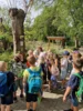 Foto vom Album: SUMM-Woche