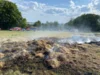 Foto vom Album: Einsatz 10/2026
