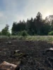 Foto vom Album: Unimogbrand Ober-Seemen