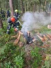 Foto vom Album: Baum