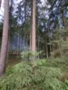 Fotoalbum
