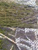 Lavendel aus dem eigenen Garten liegt zum Trocknen aus_SHG We R / Wir sind_LuKISS e.V. 2026