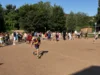 Foto vom Album: Staffellauf 2026