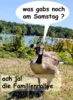 026 Was gabs noch