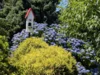 054 Haus mit Blumen