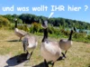 055 was wollt IHr denn