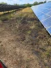 Foto vom Album: 280726 Ödland/ Wiese Solarpark Ziegelweg