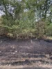 Foto vom Album: Einsatz 14/2026