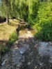 Foto vom Album: Notabfischung Gennach 2026