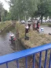 Foto vom Album: Notabfischung Gennach 2026