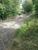 Foto vom Album: Notabfischung Gennach 2026