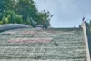 2026-08-01 SGP Wisla 7 HOLZ Alvine GER 7 WSV 1923 Bad Freienwalde 1(c) Günter Grützner
