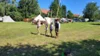Foto vom Album: Mittelaltercamp 2026 Völpke