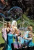 Foto vom Album: Sommerfest 2026  