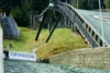 Foto vom Album: 2026-08-09 Trainingslager Szczyrk