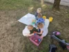 Foto vom Album: Rückblick Juni-Juli Mini-, Kleine und Große Füchse
