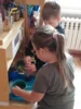 Foto vom Album: Rückblick Juni-Juli Mini-, Kleine und Große Füchse