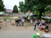 Foto vom Album: Rückblick Juni-Juli Mini-, Kleine und Große Füchse