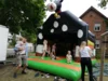 Foto vom Album: Rückblick Juni-Juli Mini-, Kleine und Große Füchse