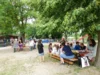 Foto vom Album: Rückblick Juni-Juli Mini-, Kleine und Große Füchse