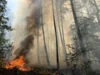 Foto vom Album: 090826 Waldbrand  Kleiner Stein