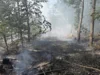Foto vom Album: 090826 Waldbrand  Kleiner Stein
