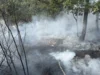 Foto vom Album: 090826 Waldbrand  Kleiner Stein