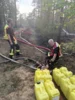 Foto vom Album: 090826 Waldbrand  Kleiner Stein