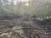 Foto vom Album: 090826 Waldbrand  Kleiner Stein